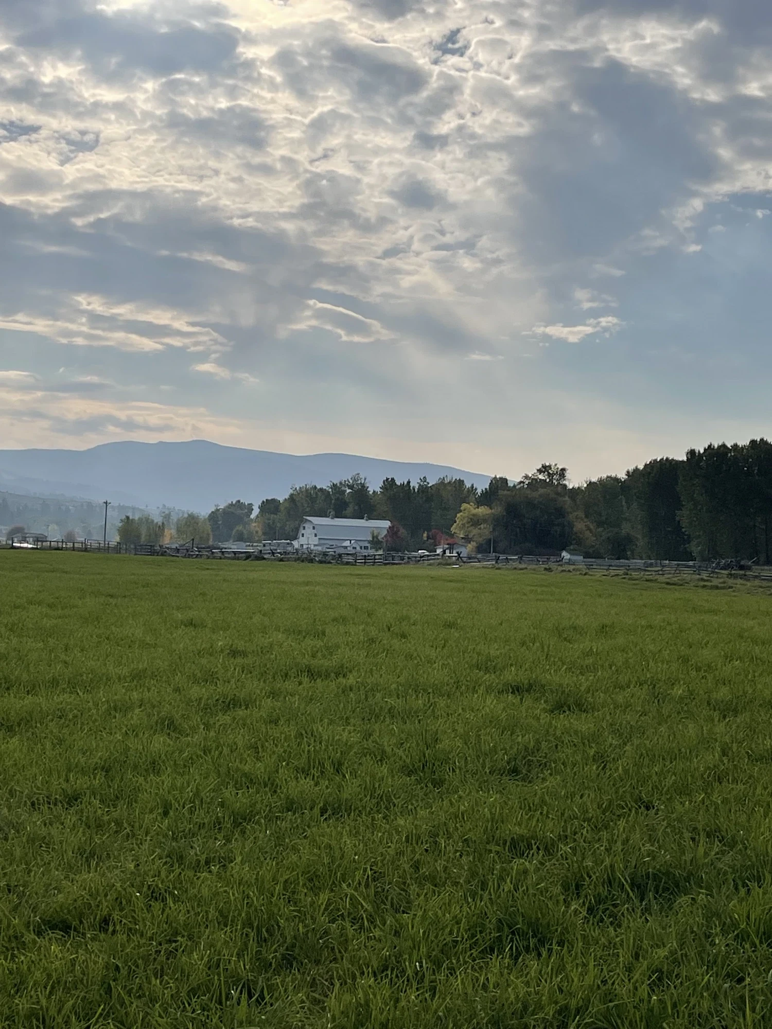 Bitterroot Valley pasture with ranch buildings and distant mountains